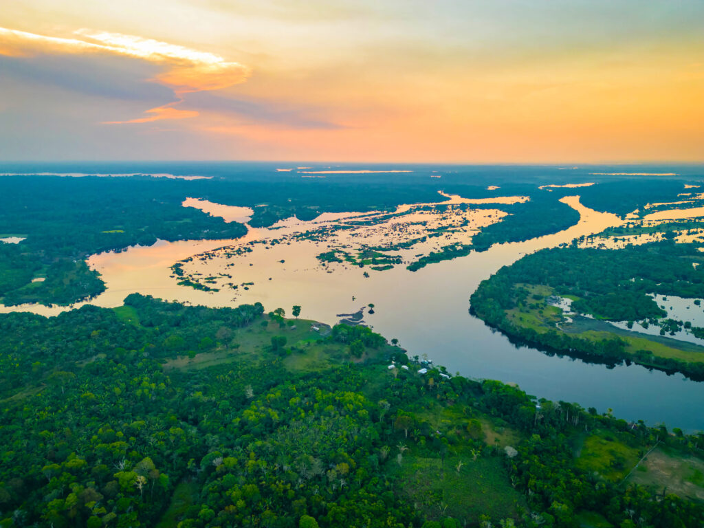 Scenic aerial sunset view of rainforest water jungle in Amazonas Brazil