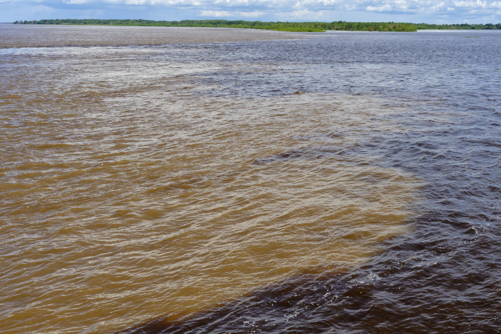 manaus4 (1)