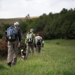 What to Wear When Hiking Through Dartmoor - VisitDartmoor