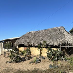 Finding Magic at the Chapada dos Veadeiros – InnerSol