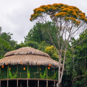 Juma Amazon Lodge, Autazes