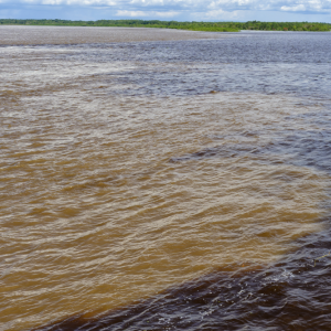 manaus4 (1)